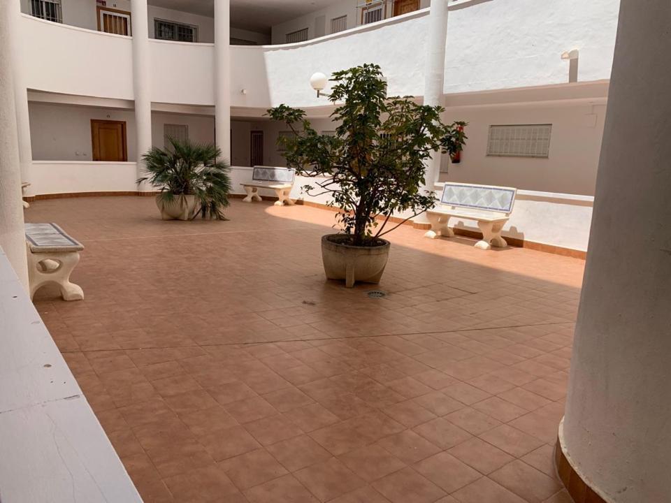 Апартаменти San Luis Торрев'єха Екстер'єр фото